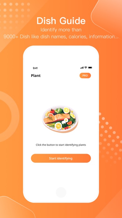 DishSnap - identify dish names Screenshot