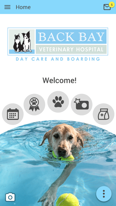Back Bay Vet Screenshot