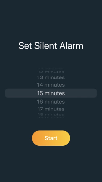 Silent Alarm – Study Companion Screenshot