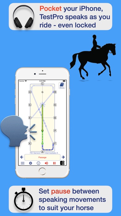 FEI Dressage Screenshot