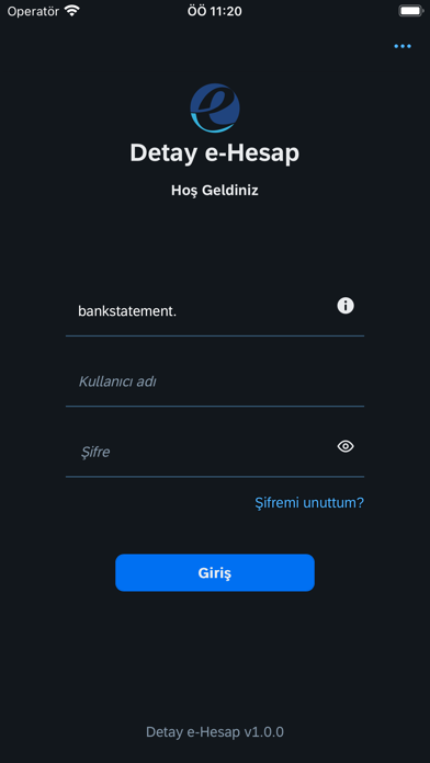 Detay e-Hesap Screenshot