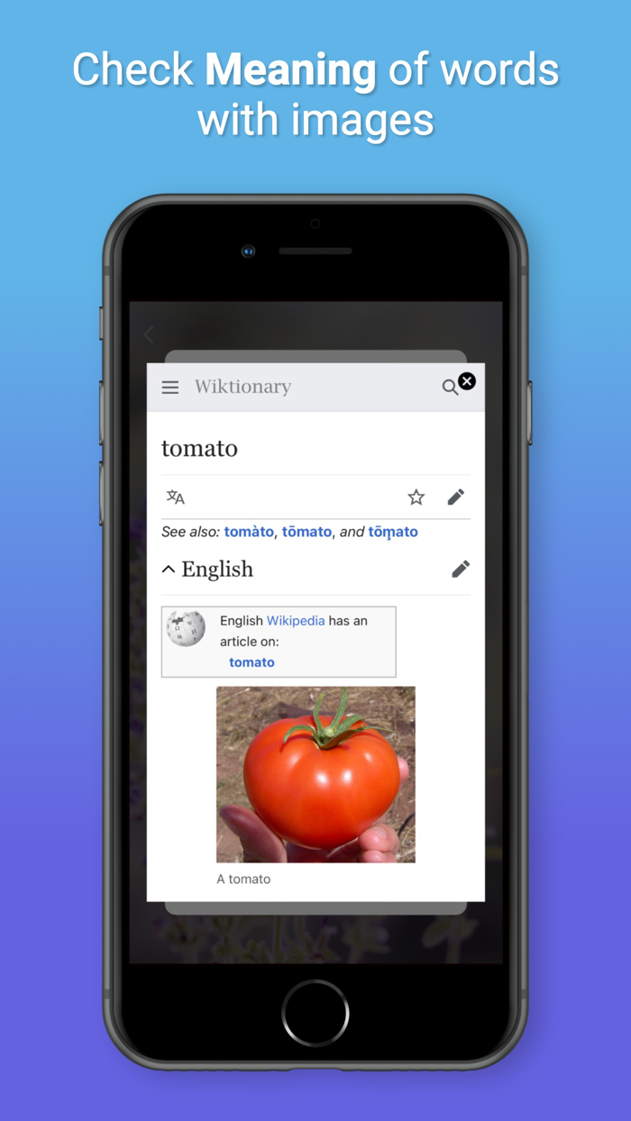 Word Escape Search Joy games