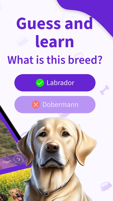 Dog Breeds Training Games Life Screenshot