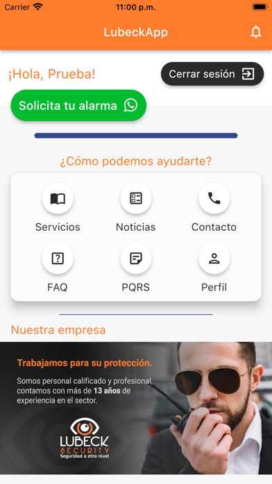 Lubeck Seguridad Ltda Screenshot