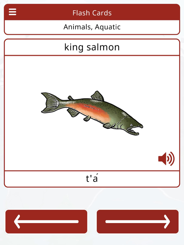 Tlingit Vocab Builder