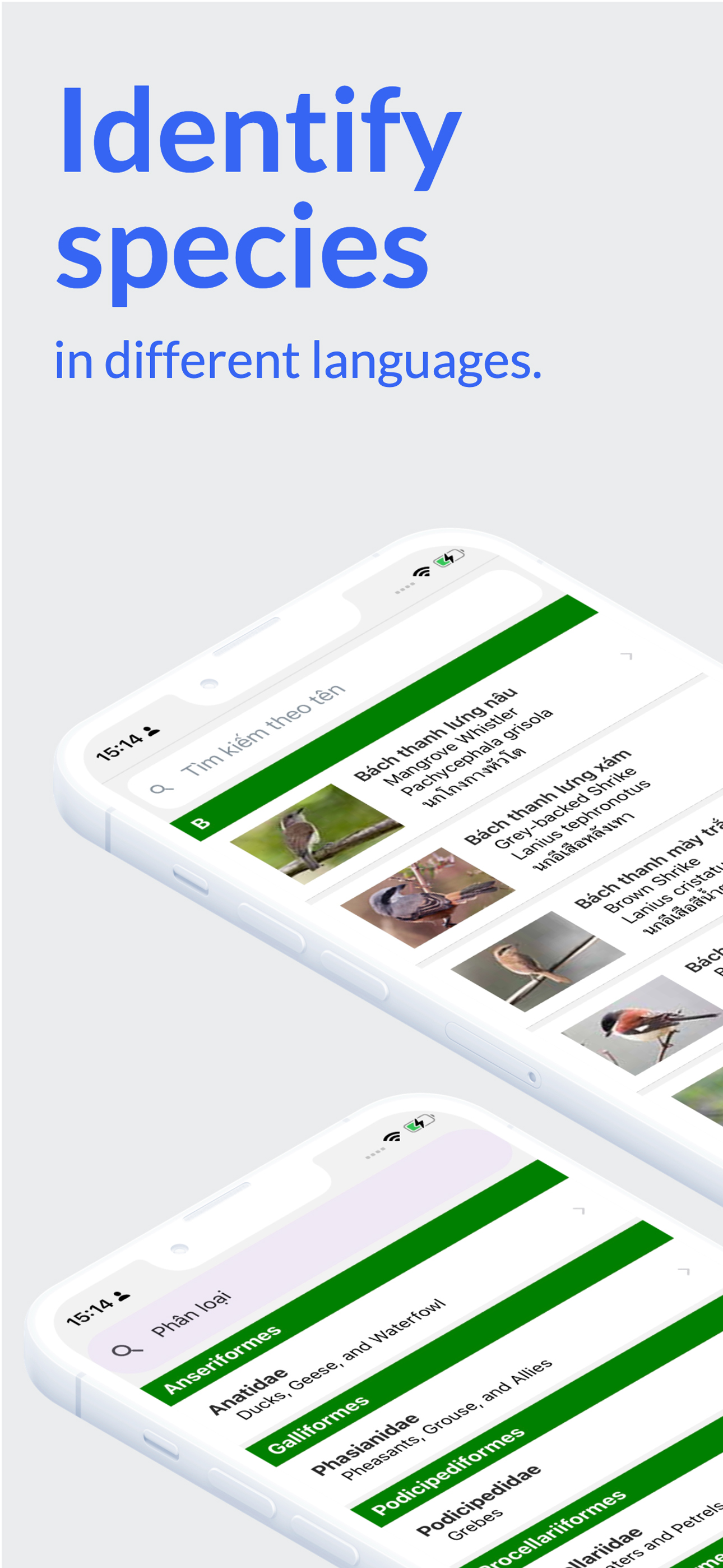 Vietnam Birds (plus)