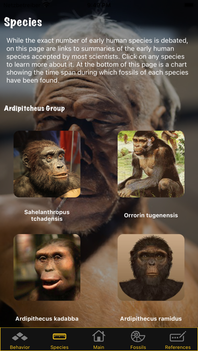 Human Evolution Screenshot