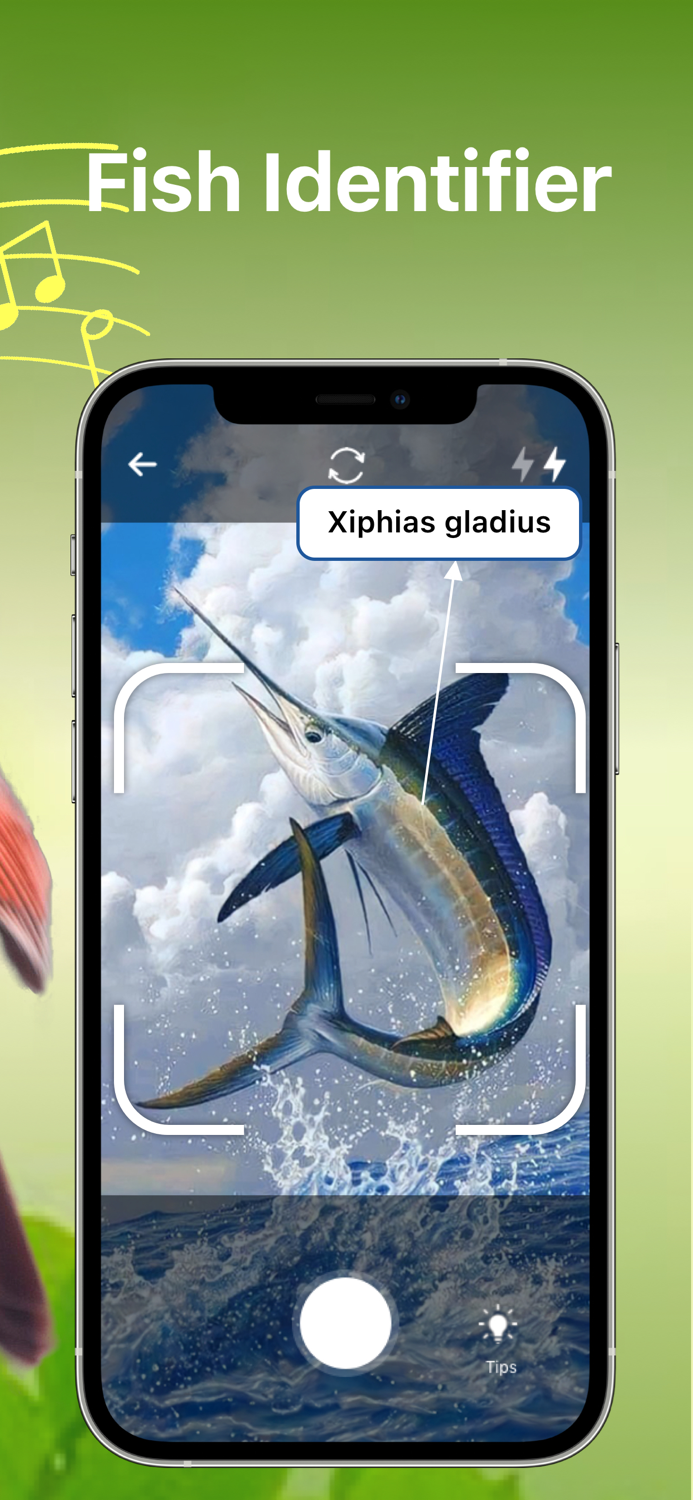 Bird Song Identifier Sounds ID