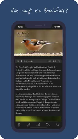 Game screenshot Unsere Vögel apk