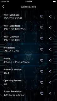 ip config - what is my ip iphone screenshot 4