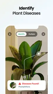 plant app: plant identifier iphone screenshot 3