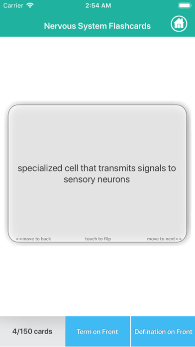 Human Anatomy : Nervous System Screenshot