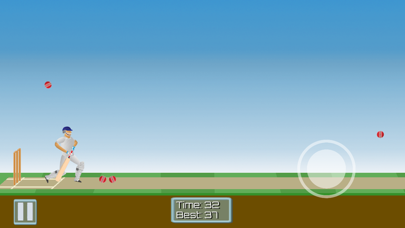 CricketMayhem: 2D Cricket Game Screenshot