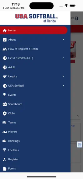 Game screenshot USA Softball of Florida mod apk