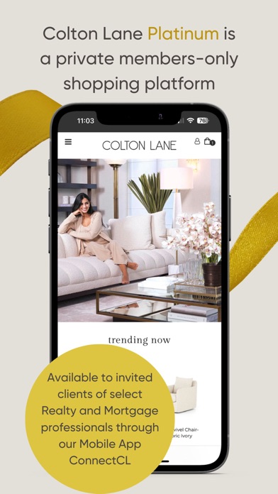 ConnectCL Screenshot