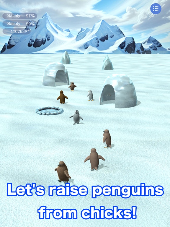 Penguins raised from chicks