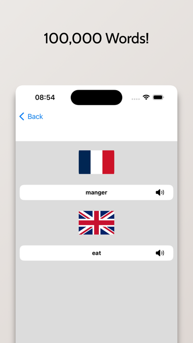 French-English Dictionary Screenshot