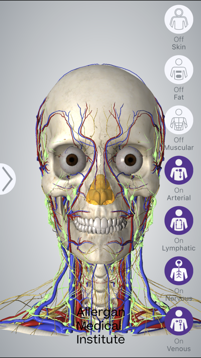 AMI Facial Anatomy Screenshot