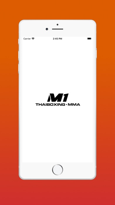 Team M1 Screenshot