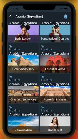 Game screenshot Bluebird: Egyptian Arabic mod apk