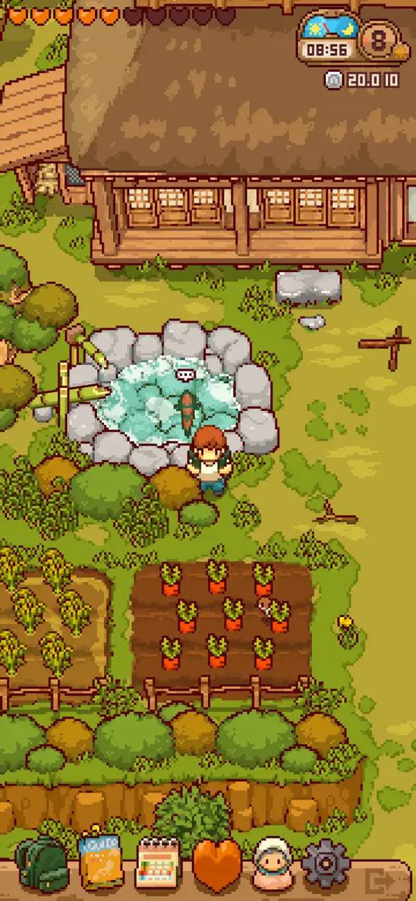 Japanese Rural Life Adventure