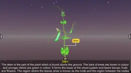 learn parts of a plant problems & solutions and troubleshooting guide - 1