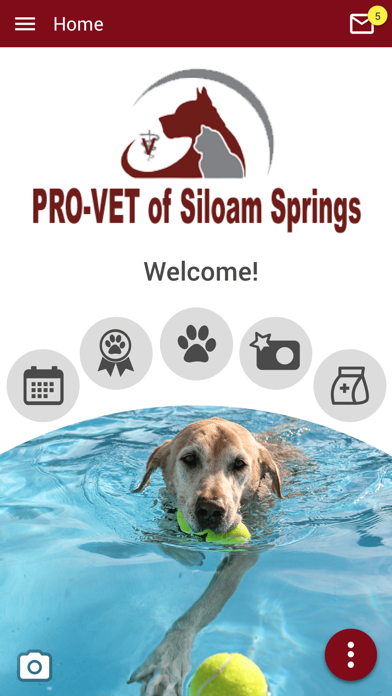 Pro Vet of Siloam Springs Screenshot