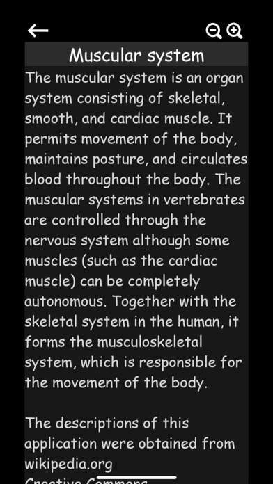 Muscular System 3D (anatomy) Screenshot