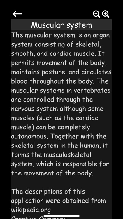Muscular System 3D (anatomy) screenshot-3