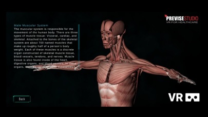 VR Human Anatomy Kids Screenshot