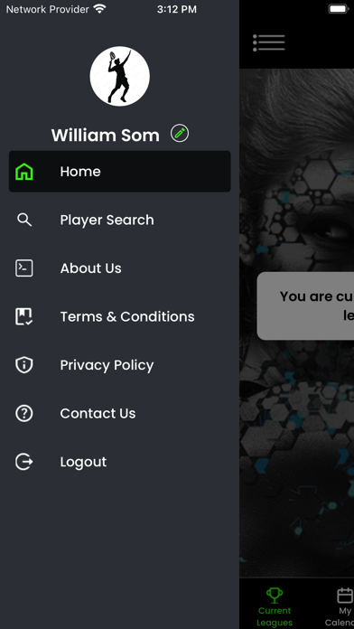 Flex League Tennis Screenshot