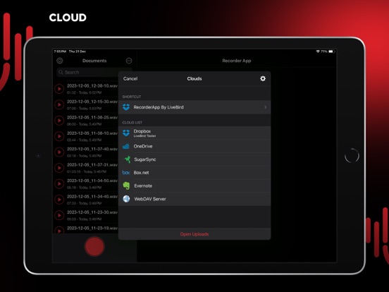 Audio Recorder Pro and Editor iPad app afbeelding 7
