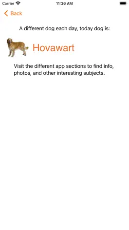 Game screenshot Pindolo Dog Lite mod apk