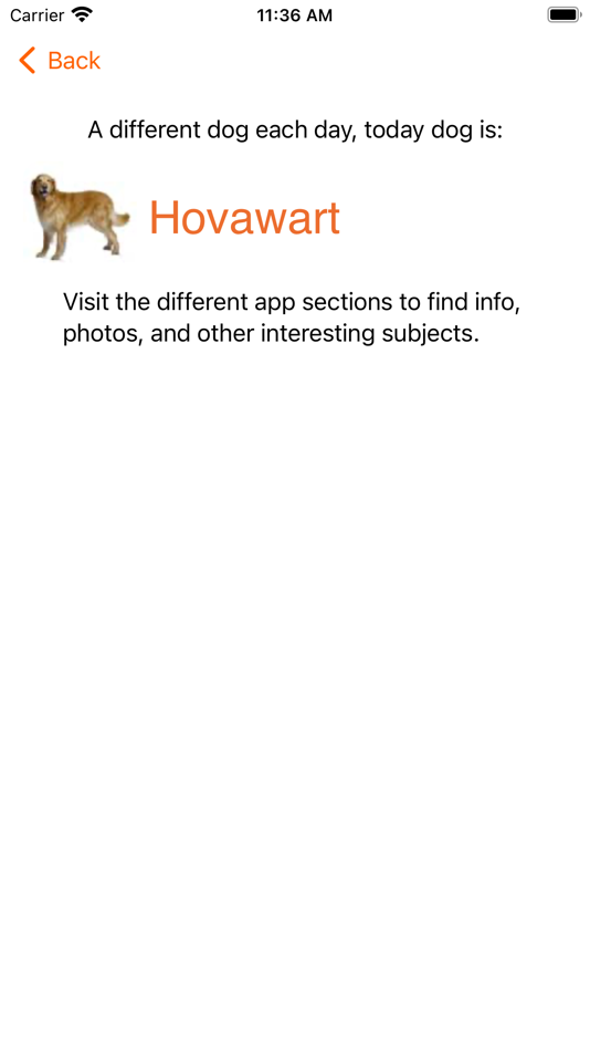 Pindolo Dog Lite - 1.1 - (iOS)
