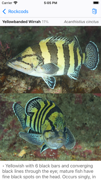 Lord Howe Fish IDのおすすめ画像6