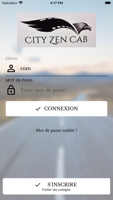 CITY ZEN CAB Screenshot