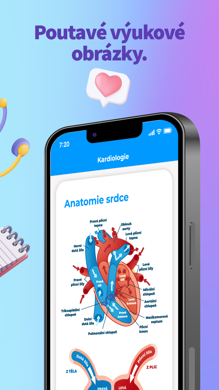 Interna Vnitřní lékařství