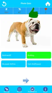dog breeds guide & quiz iphone screenshot 4