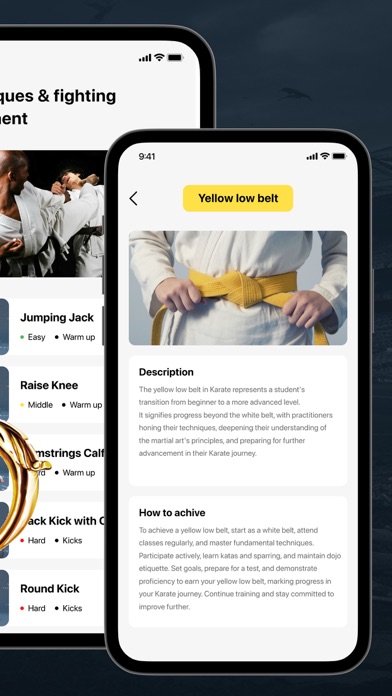 Karate for Stake Screenshot