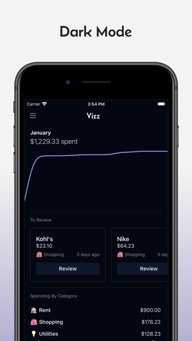 Vizz: Money & Spending Tracker Screenshot