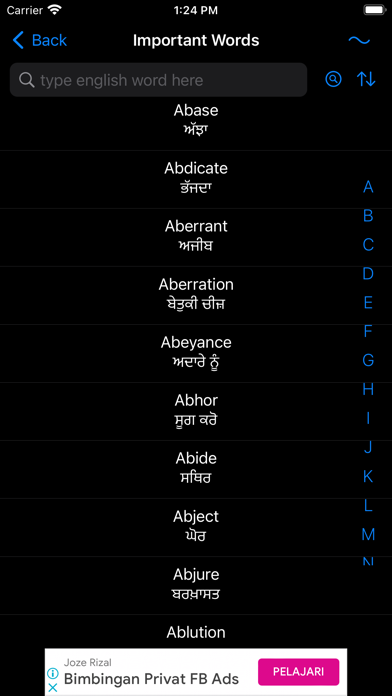Smart Punjabi Dictionary Screenshot