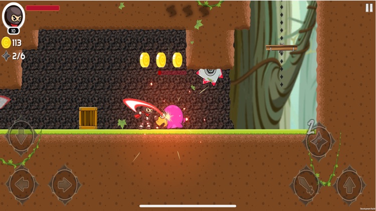 Super Ninja Princess Rescue