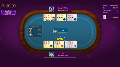 Gin Rummy: Offline Game Screenshot