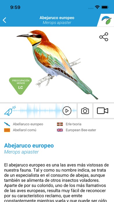 Las Aves de España Screenshot