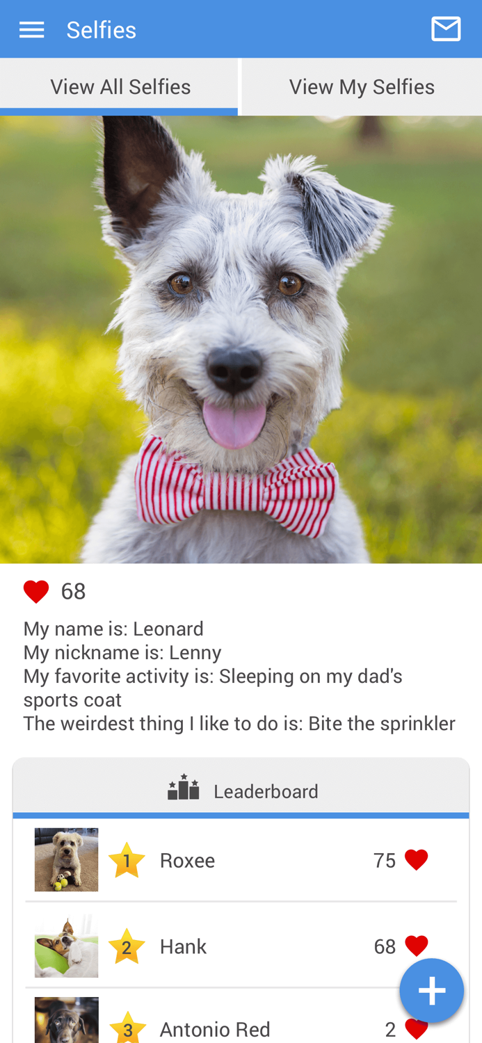 Faithful Friends Vet