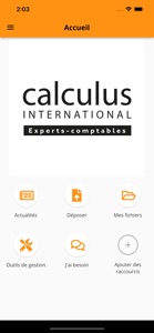 CALCULUS INTERNATIONAL screenshot #2 for iPhone