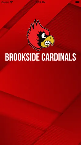 Game screenshot Brookside Cardinals Athletics mod apk