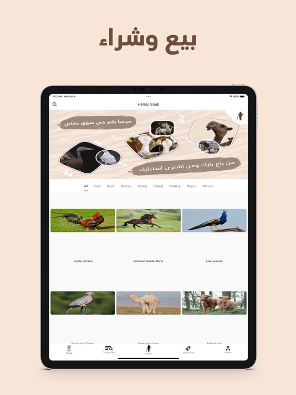 حلالي iPad screenshot 2 - Business app
