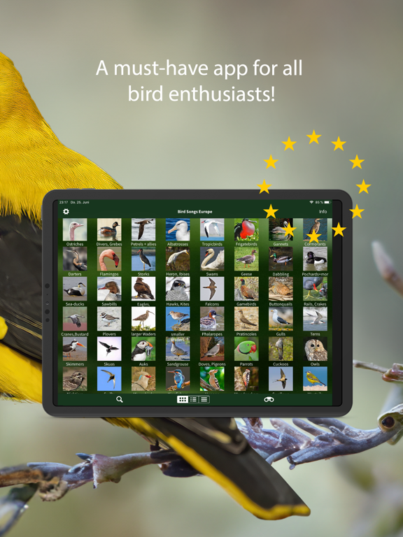 Screenshot #5 pour BIRD SONGS Europe North Africa