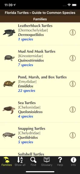 Game screenshot Florida Turtles mod apk